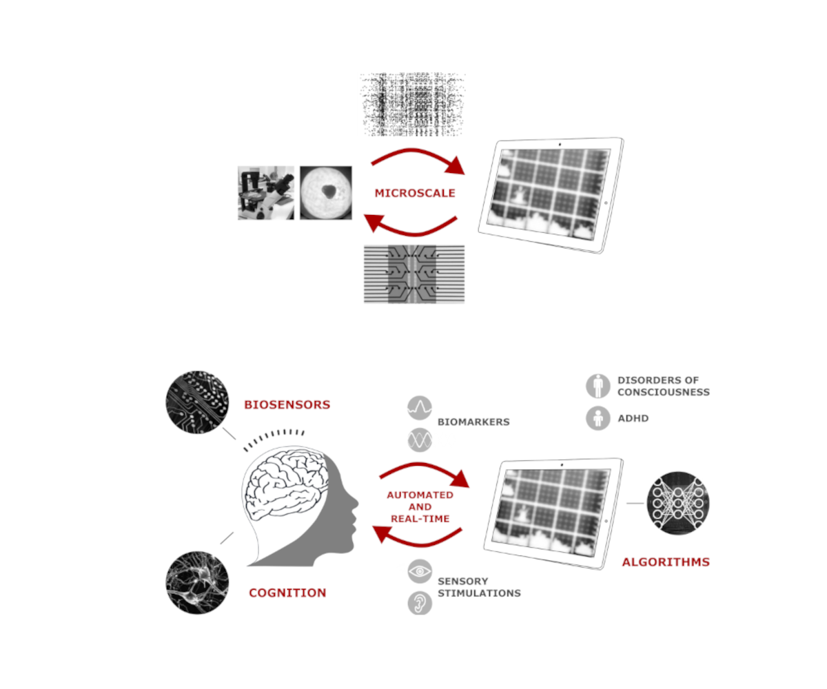 From model validation to clinical applications