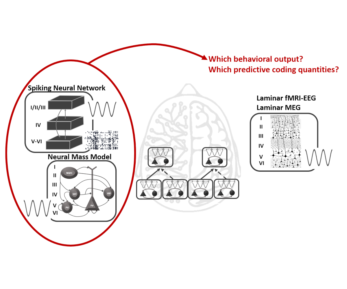From neural systems to behaviour